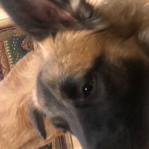 Meet your Posher, Cole